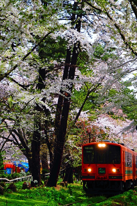 1361_芦野公園_青森