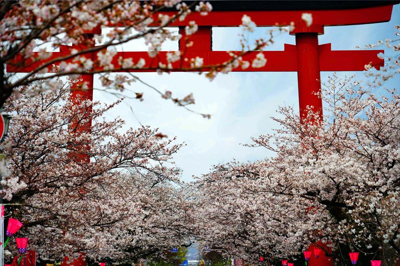 1040_祐徳稲荷神社_佐賀