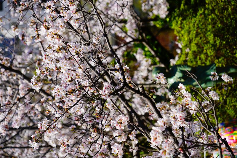 1024_原爆資料館前_長崎