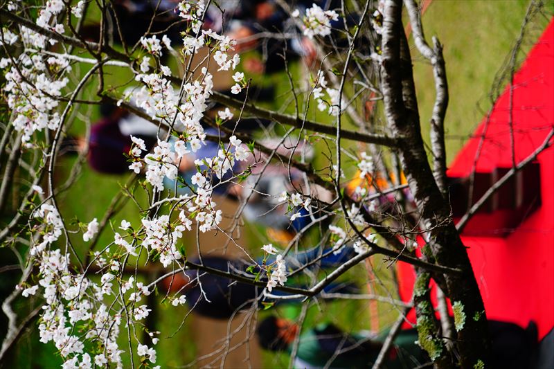 1017_佐倉城址公園_千葉