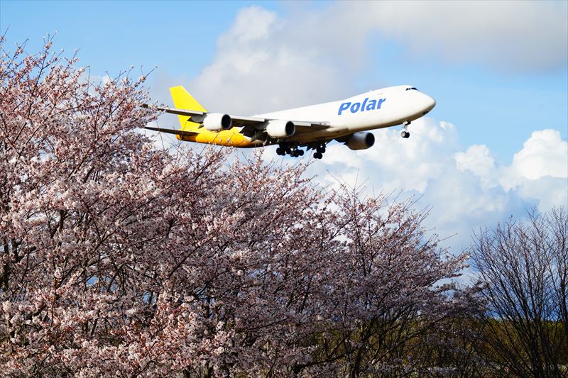 1013_成田市さくらの山_千葉