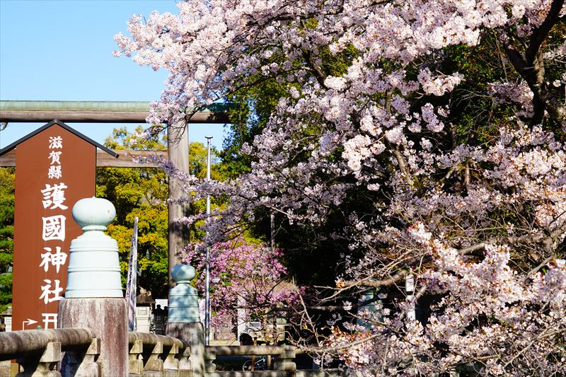 1069_6_滋賀縣護國神社_滋賀