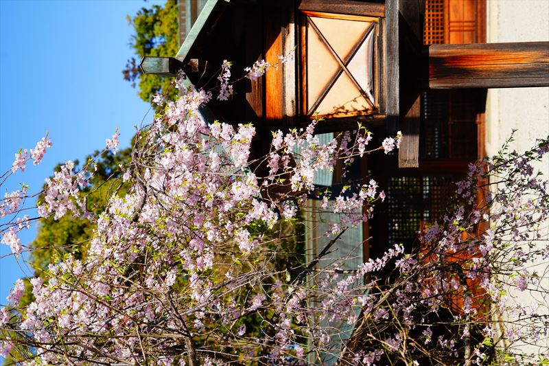 1070_6_滋賀縣護國神社_滋賀