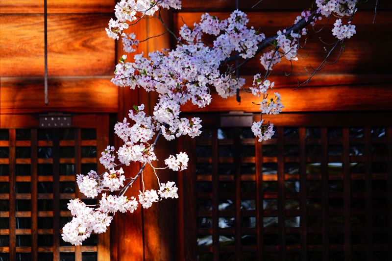 1072_6_滋賀縣護國神社_滋賀