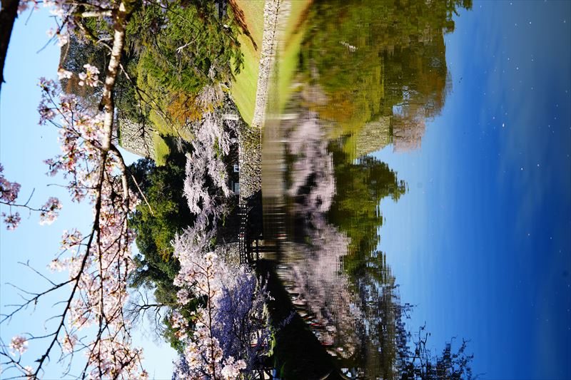 1058_8_彦根城_滋賀