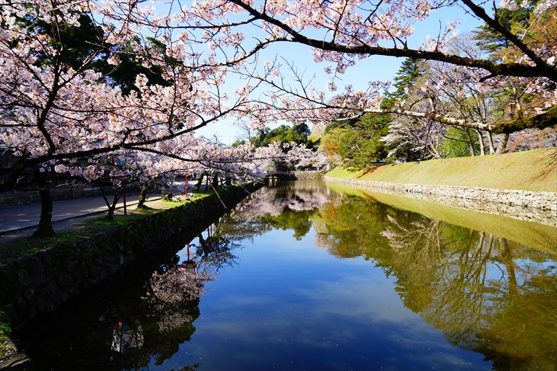 1059_8_彦根城_滋賀