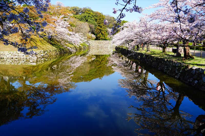 1060_8_彦根城_滋賀