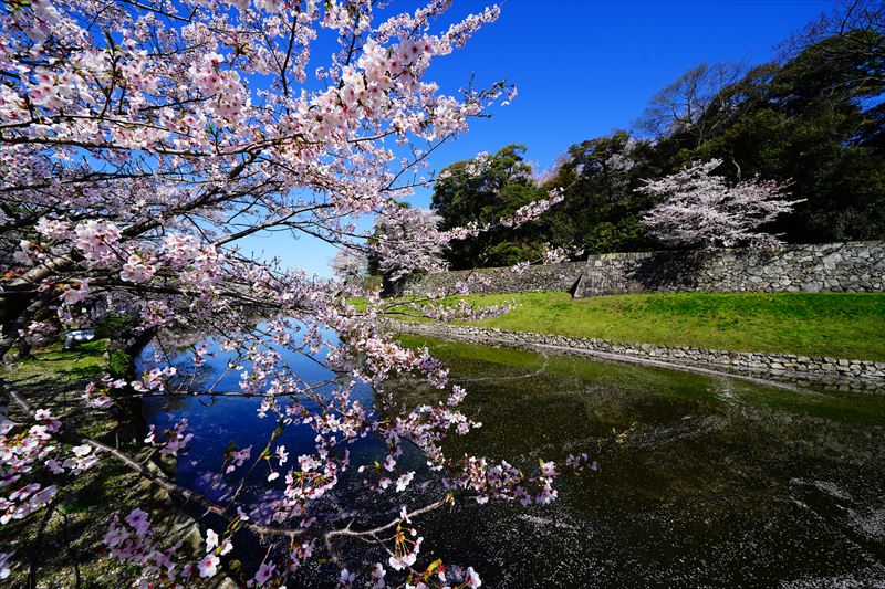 1061_8_彦根城_滋賀