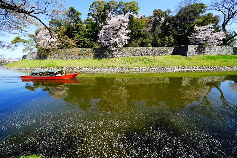 1062_8_彦根城_滋賀