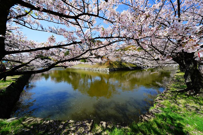 1063_8_彦根城_滋賀