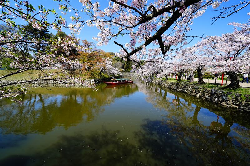 1064_8_彦根城_滋賀