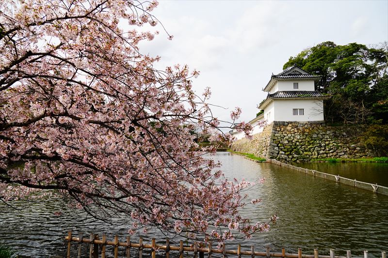 1067_8_彦根城_滋賀