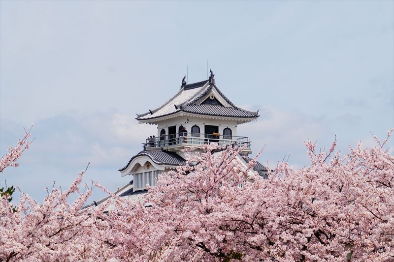 1074_6_豊公園長浜城_滋賀