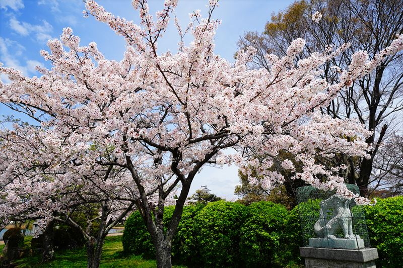 1077_6_豊公園長浜城_滋賀