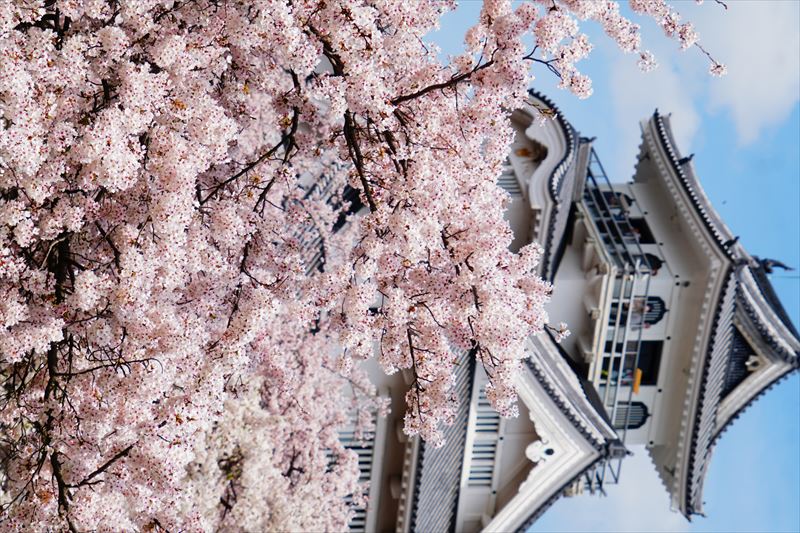 1078_6_豊公園長浜城_滋賀