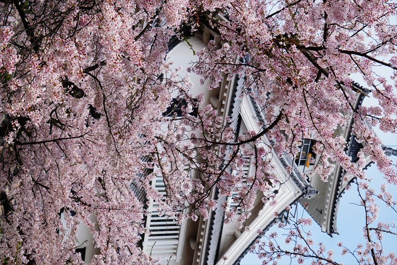 1080_6_豊公園長浜城_滋賀