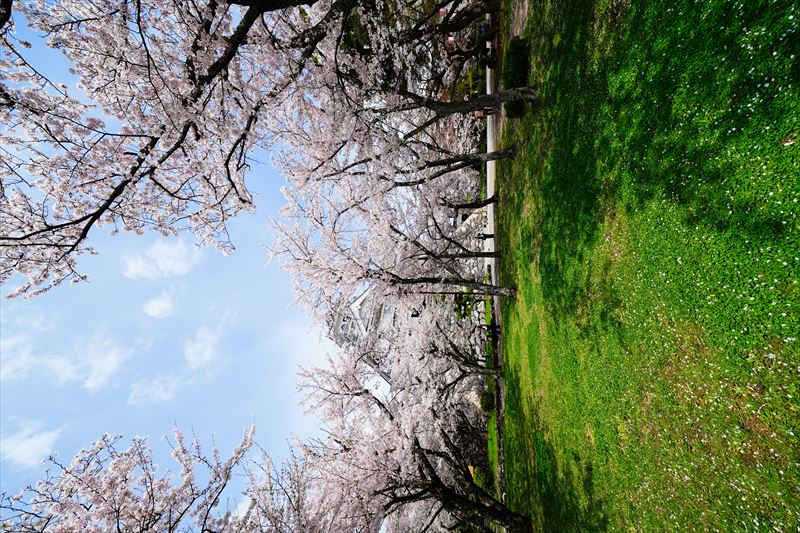 1081_6_豊公園長浜城_滋賀