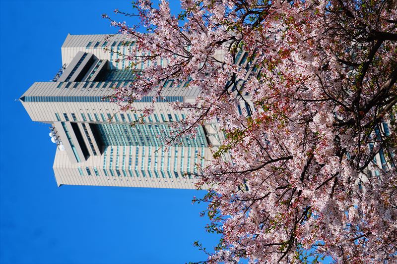 1145_なとみらい_神奈川