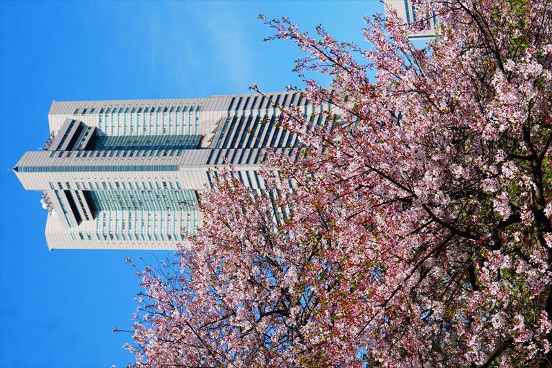 1149_なとみらい_神奈川