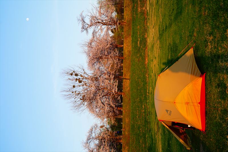 1081_浪岡湿生花園_青森