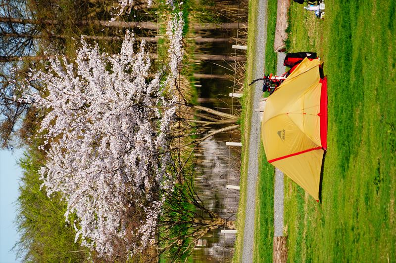 1181_浪岡湿生花園_青森