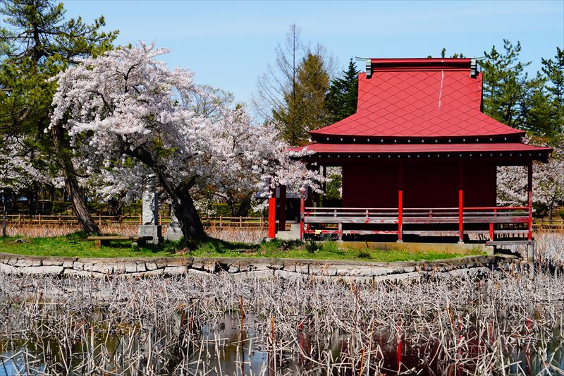 1047_猿賀公園_青森