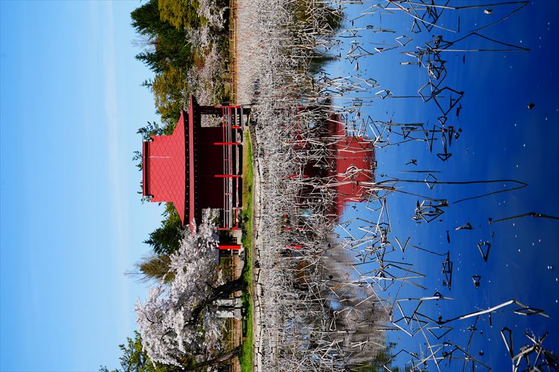 1048_猿賀公園_青森