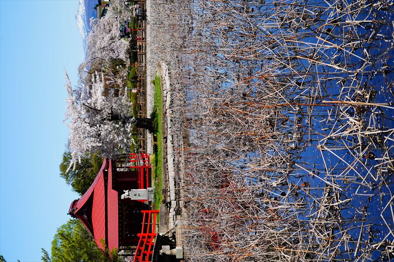 1049_猿賀公園_青森