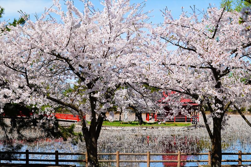 1053_猿賀公園_青森