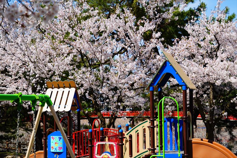 1054_猿賀公園_青森