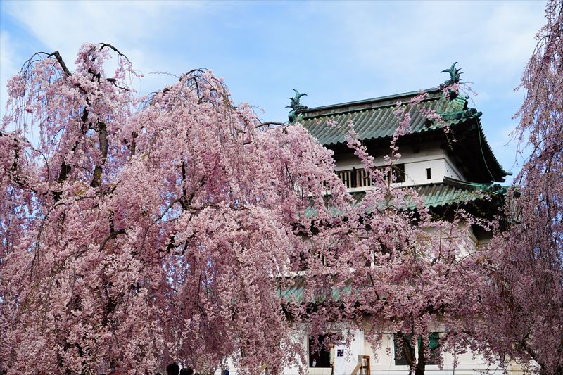 1177_弘前公園_青森