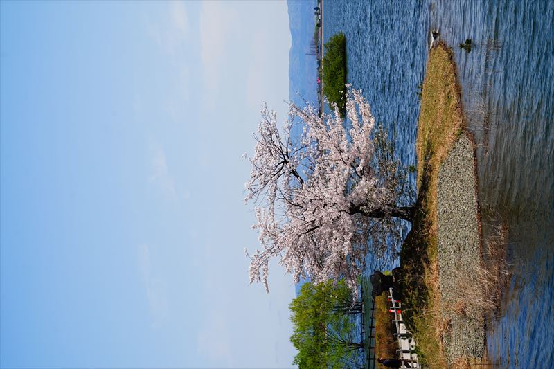 1023_鶴の舞橋_青森