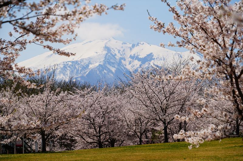 1081_富士見湖パーク_青森