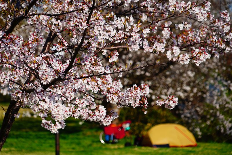 1192_芦野公園_青森