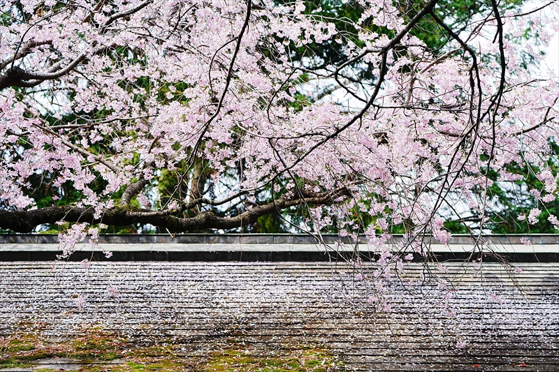 1094_伊勢山皇大神宮_神奈川