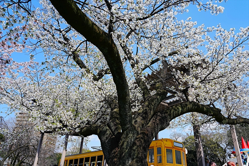 1139_鳥山公園_東京