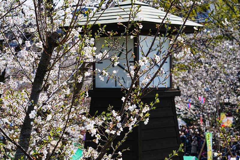 1140_鳥山公園_東京