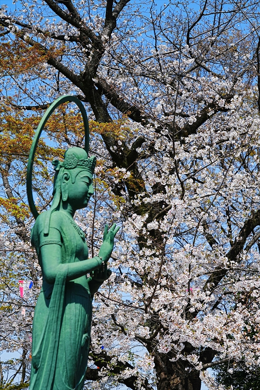 1141_鳥山公園_東京
