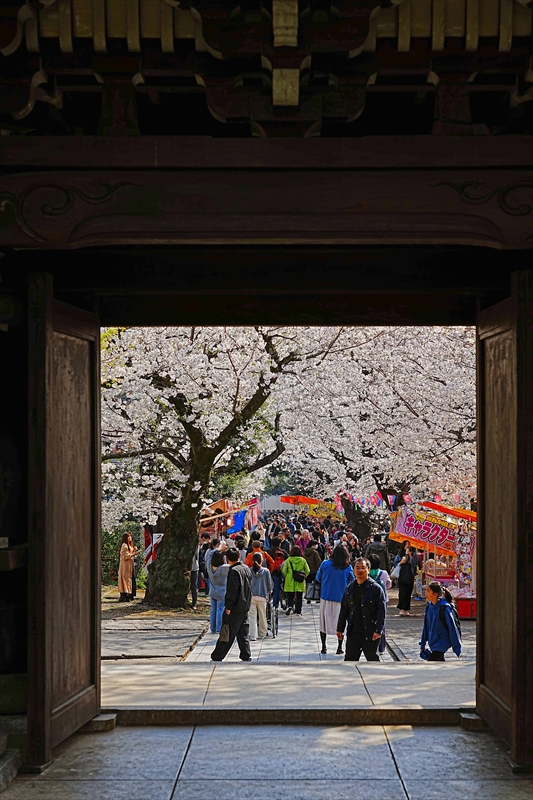 1112_威光山法明寺_東京