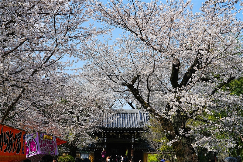1114_威光山法明寺_東京