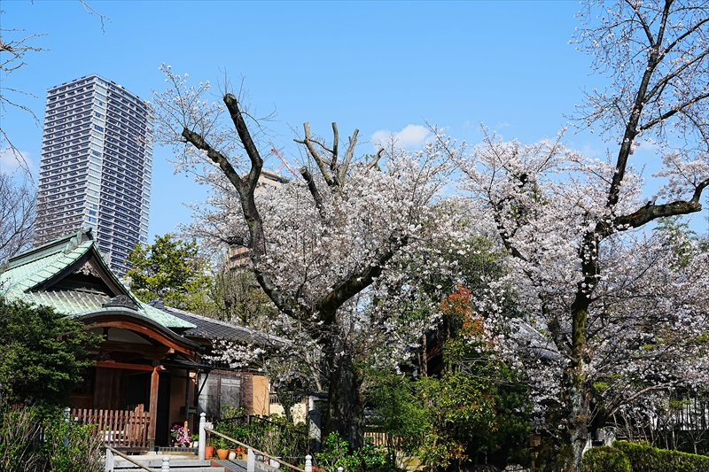 1119_威光山法明寺_東京