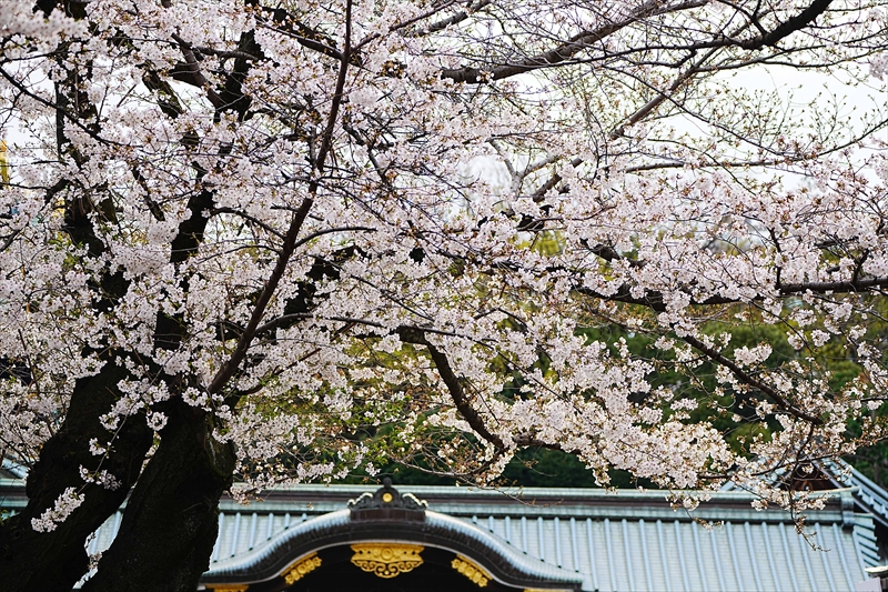1044_靖国神社_東京