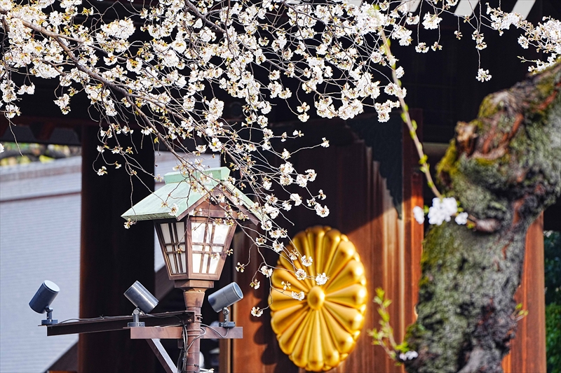 1045_靖国神社_東京