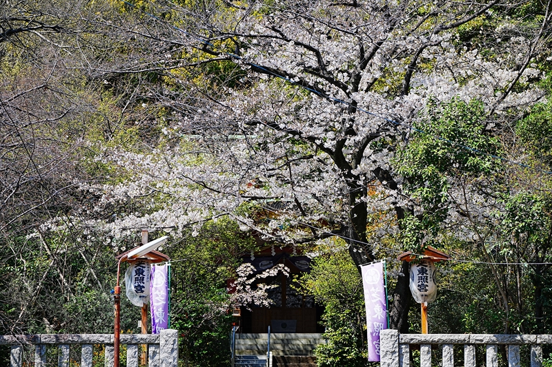 1072_芝東照宮_東京