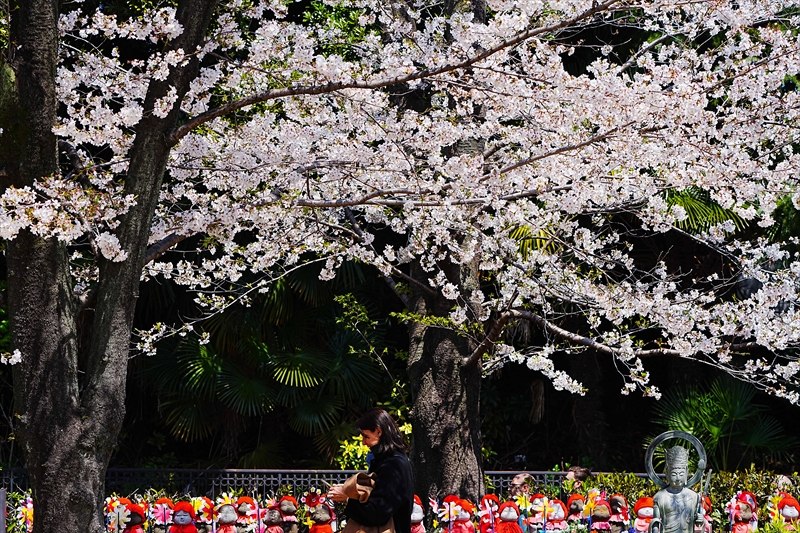 1074_西向観世音菩薩堂_東京