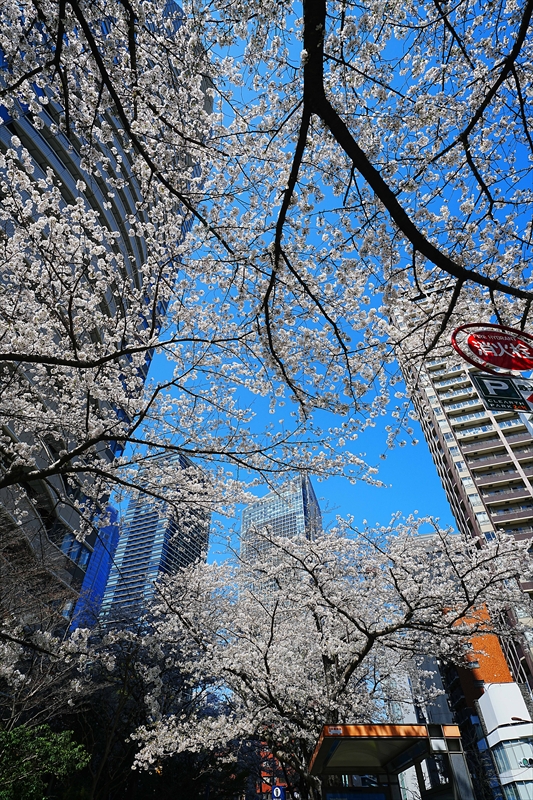 1136_慈恵会医大前_東京