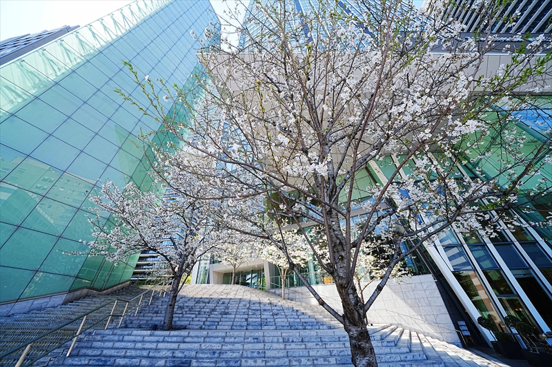 1079_虎ノ門ヒルズ_東京