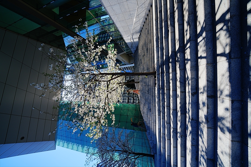 1080_虎ノ門ヒルズ_東京