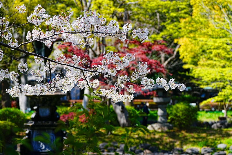 1110_日比谷公園_東京