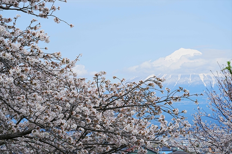 1023_富士市雁堤_静岡